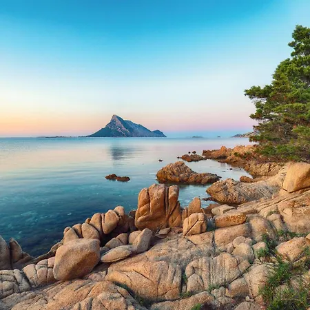 Piazzetta Roxy 10m From Seashore - Happy Lägenhet *